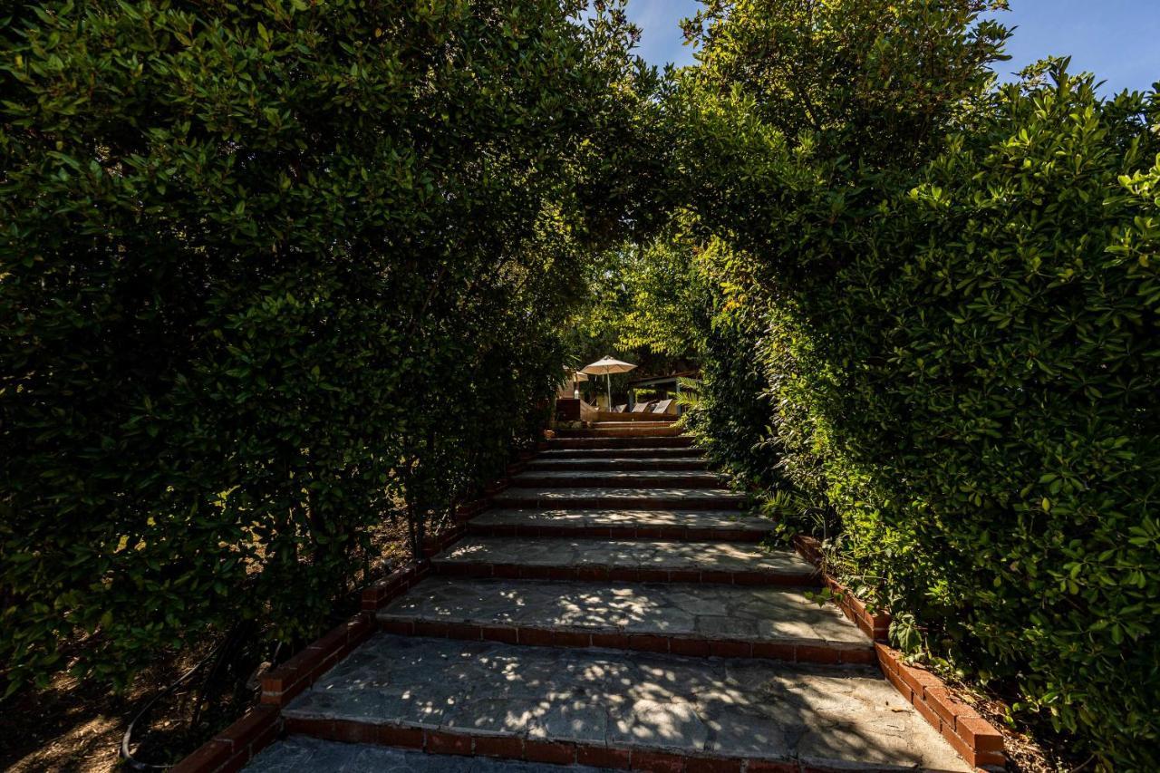 Casa Luxury Suites Paliouri Bagian luar foto