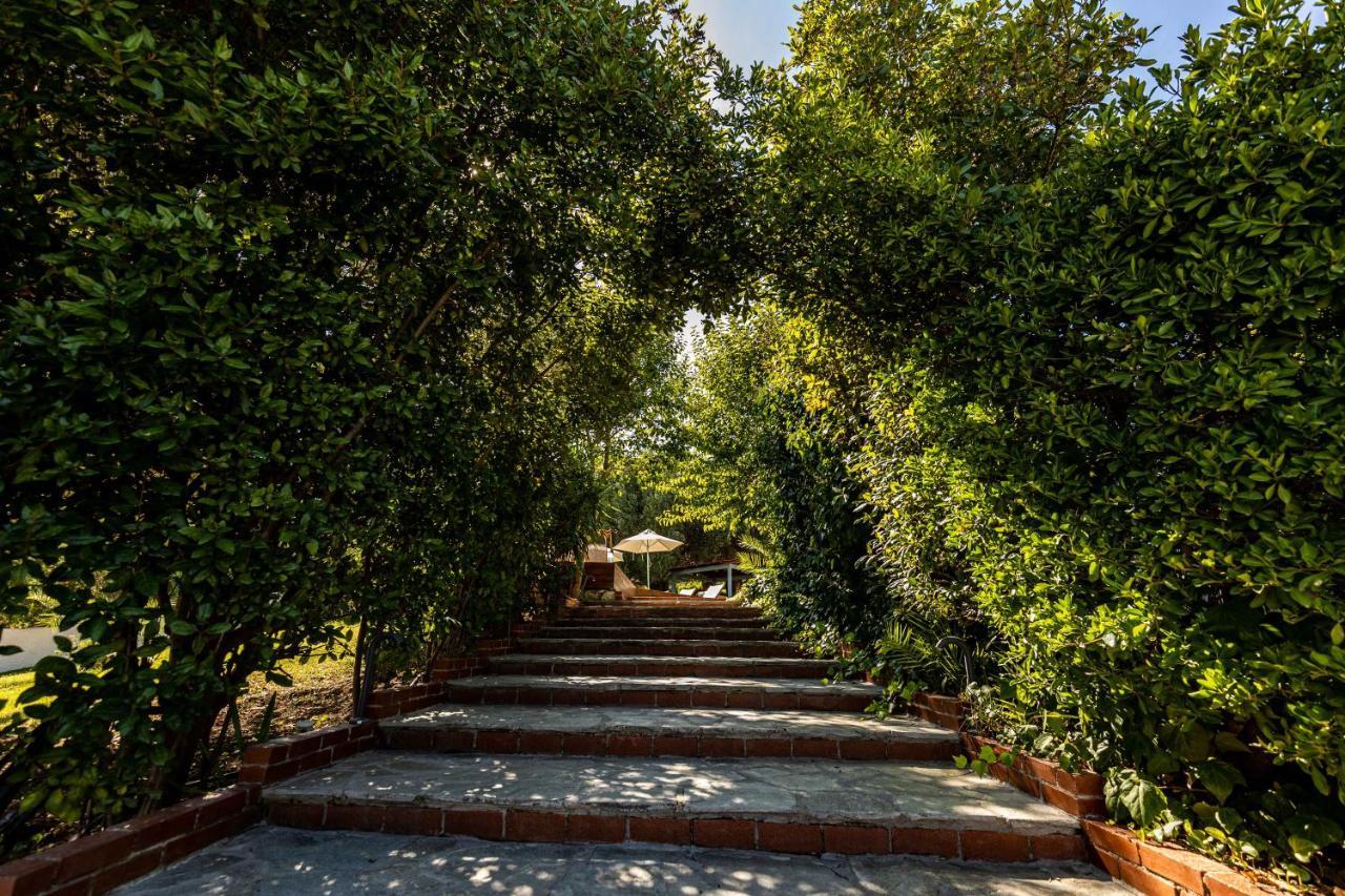 Casa Luxury Suites Paliouri Bagian luar foto